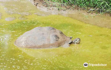 Museum of Military History (Mu...