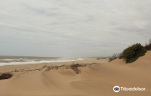 Mtunzini Beach