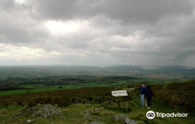 约翰‧肯尼迪植物园