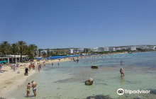 Ayia Napa Harbour