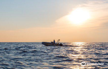 Cinque Mare Services