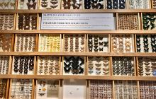 Geological Survey Museum