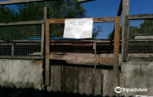 Teritip Crocodile Farm