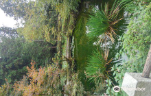 Old Kaigake Elementary School