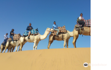Swakopmund Camel Farm