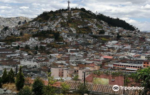 Lindberg Galeria/Taller