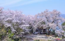 Townscape of Houses with 2 Lay...