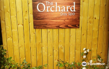 Kilkenny County  City Lawn Te...