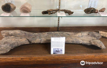 Oregon Fallen War Heroes Memor...