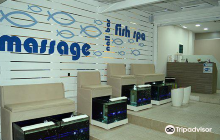 Harmony Blue Wellness Spa