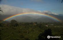 LOS QUETZALES