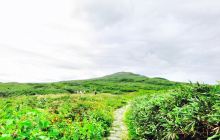 西川町自然と匠の伝承館 大井沢...