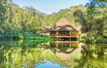 昂达西贝国家森林保护区