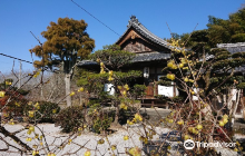 Usuki Sekibutsu