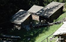 Tignousa