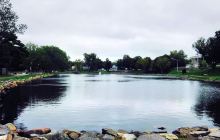 Wentworth Park