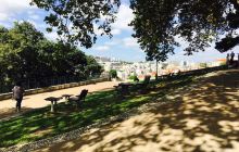Jardim do Torel