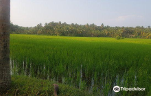 The Janardhanaswsmy Temple