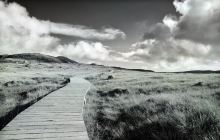 Liam Mellows Monument