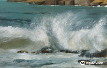 The Dillon Gallery Paintings b...