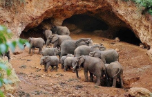 Elephant Caves