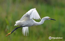 Stockley Street Park