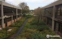 National Aquarium Of Ireland