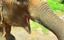 纳姆德哈里锡克庙