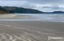 Kapiti Coast Airport (near 30 ...
