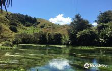 Te Waihou  walkway and the Blu...