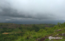 Dreamland Spices Park