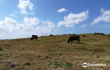 Mishima Village Tourist Office