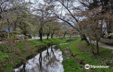 Imperial Forest Union Imperial...
