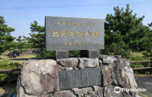 Suaeda Japonica Habitat