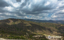 Organic Olive Farm - Terra Oli...