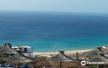 Oasis Wildlife Fuerteventura