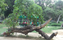 Rakh Bagh Park