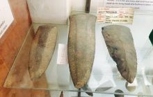 The Anton Valley Historical an...