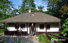 Bojdeauca lui Ion Creanga