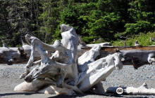 Edward VII Memorial Fountain