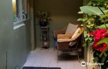 Animal Defense League of Texas