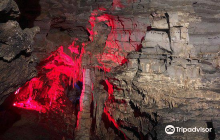 Incuvez Camligi Tabiat Parki