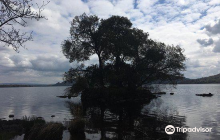 Achonry Boulder Burial