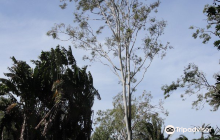 Dan Gleeson Memorial Gardens