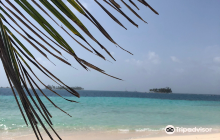 Isla Pelicano