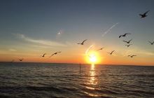 Hoppenero Charters LLC