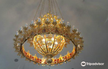 Morehampton Road Wildlife Sanc...