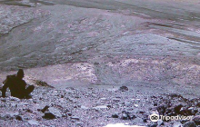 Municipal Fine Arts Museum (Ku...