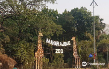 Shantinath Digambar Jain Templ...