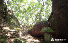 Yayoi Village Kunisaki History...